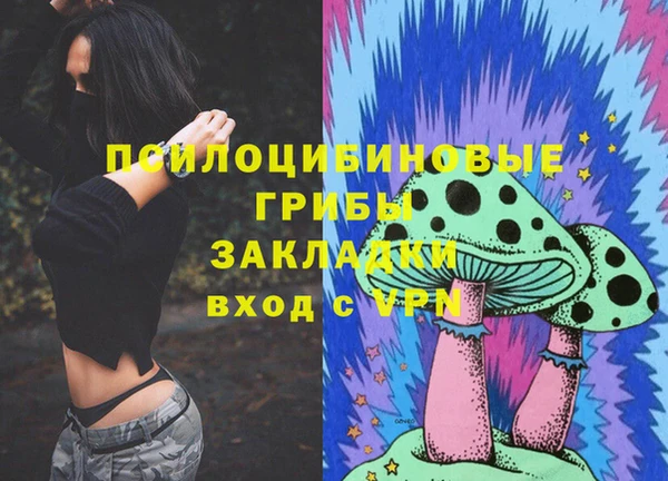 мдпв Белокуриха