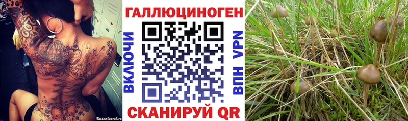 Псилоцибиновые грибы мухоморы  Магас 